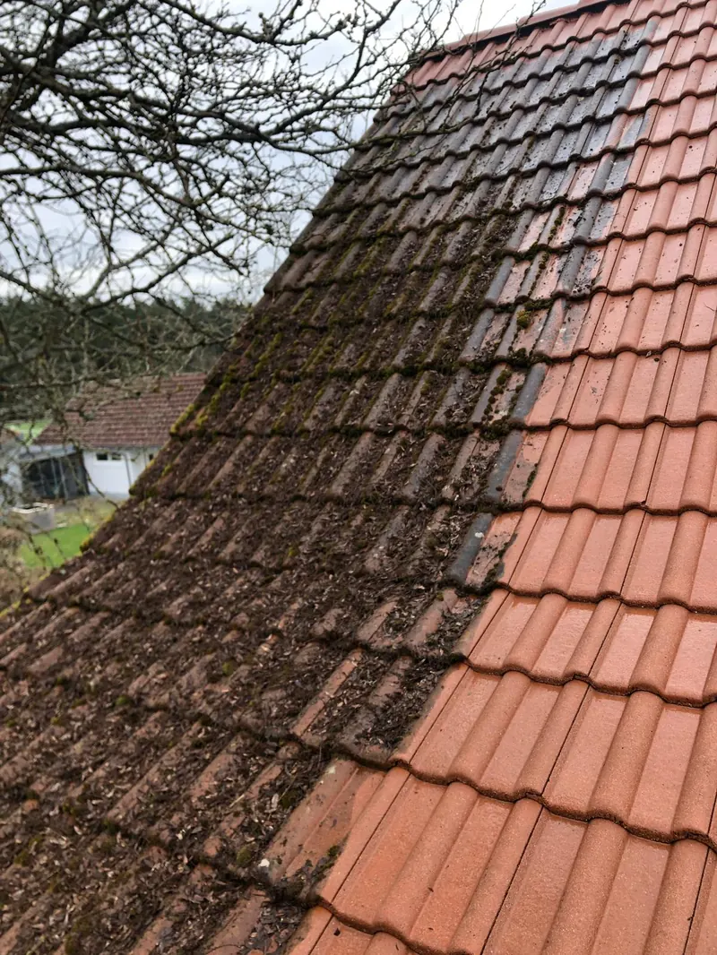 Dachreinigung Imprägniert