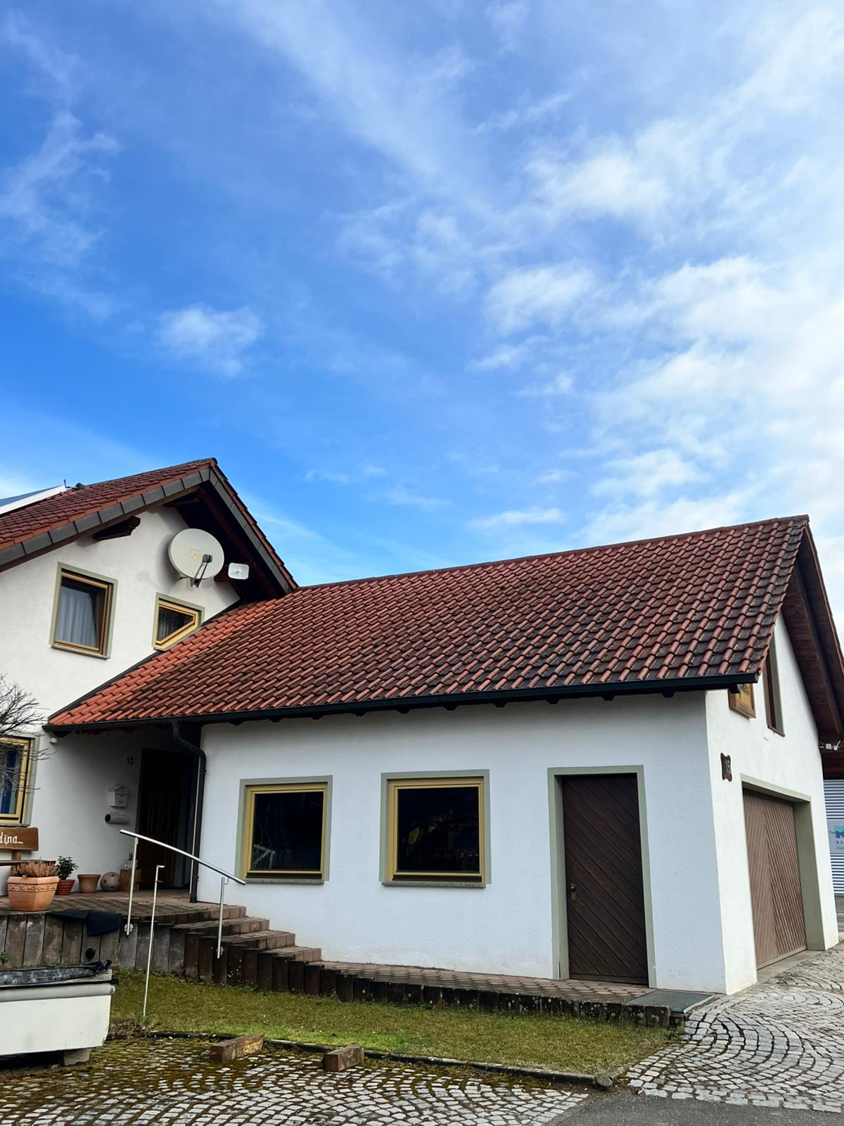 Dachreinigung Vorher